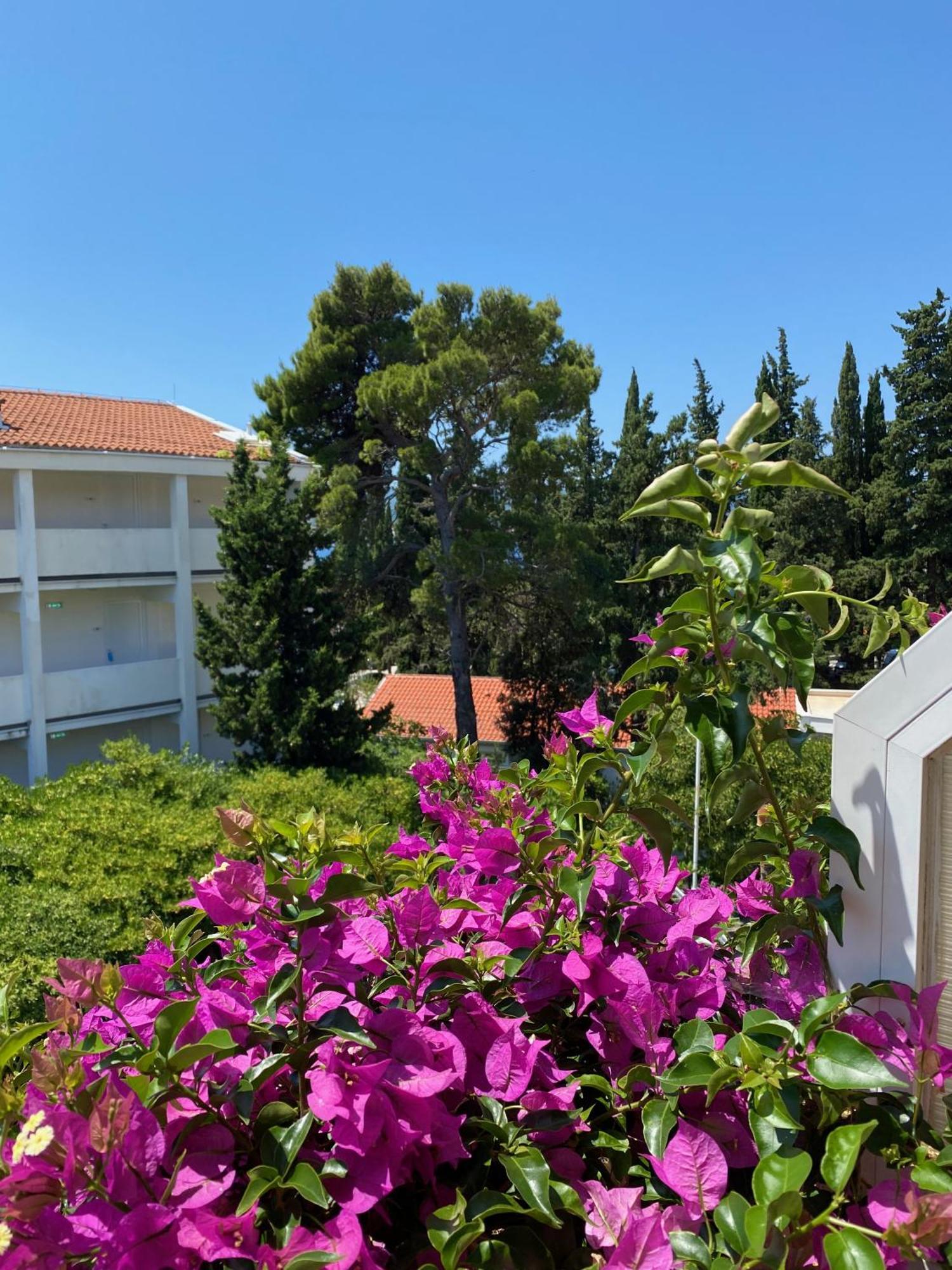Apartmani Dusanka Orebić Εξωτερικό φωτογραφία
