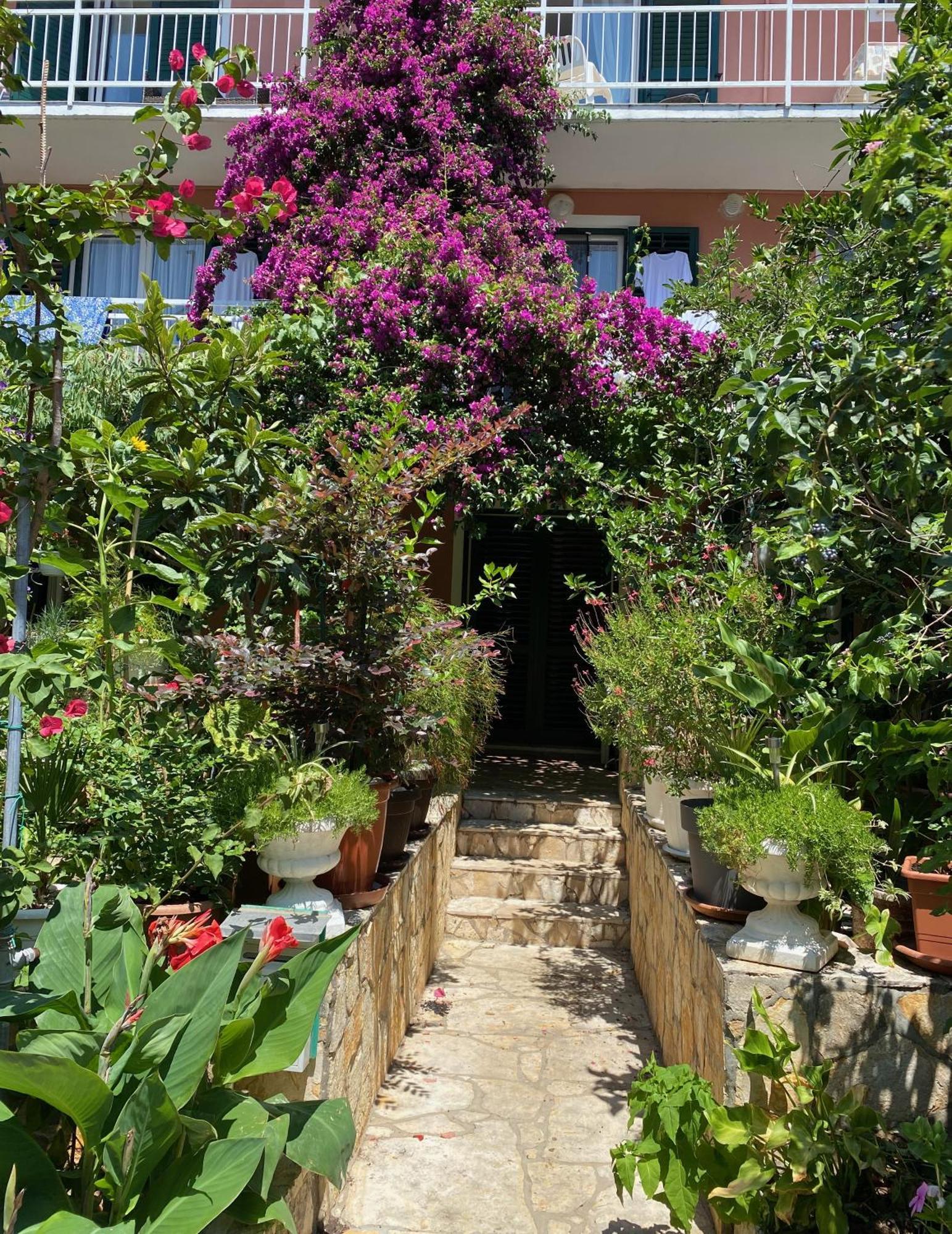 Apartmani Dusanka Orebić Εξωτερικό φωτογραφία